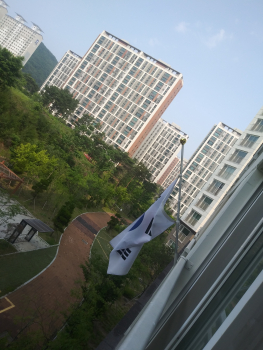 20210606_093758.jpg