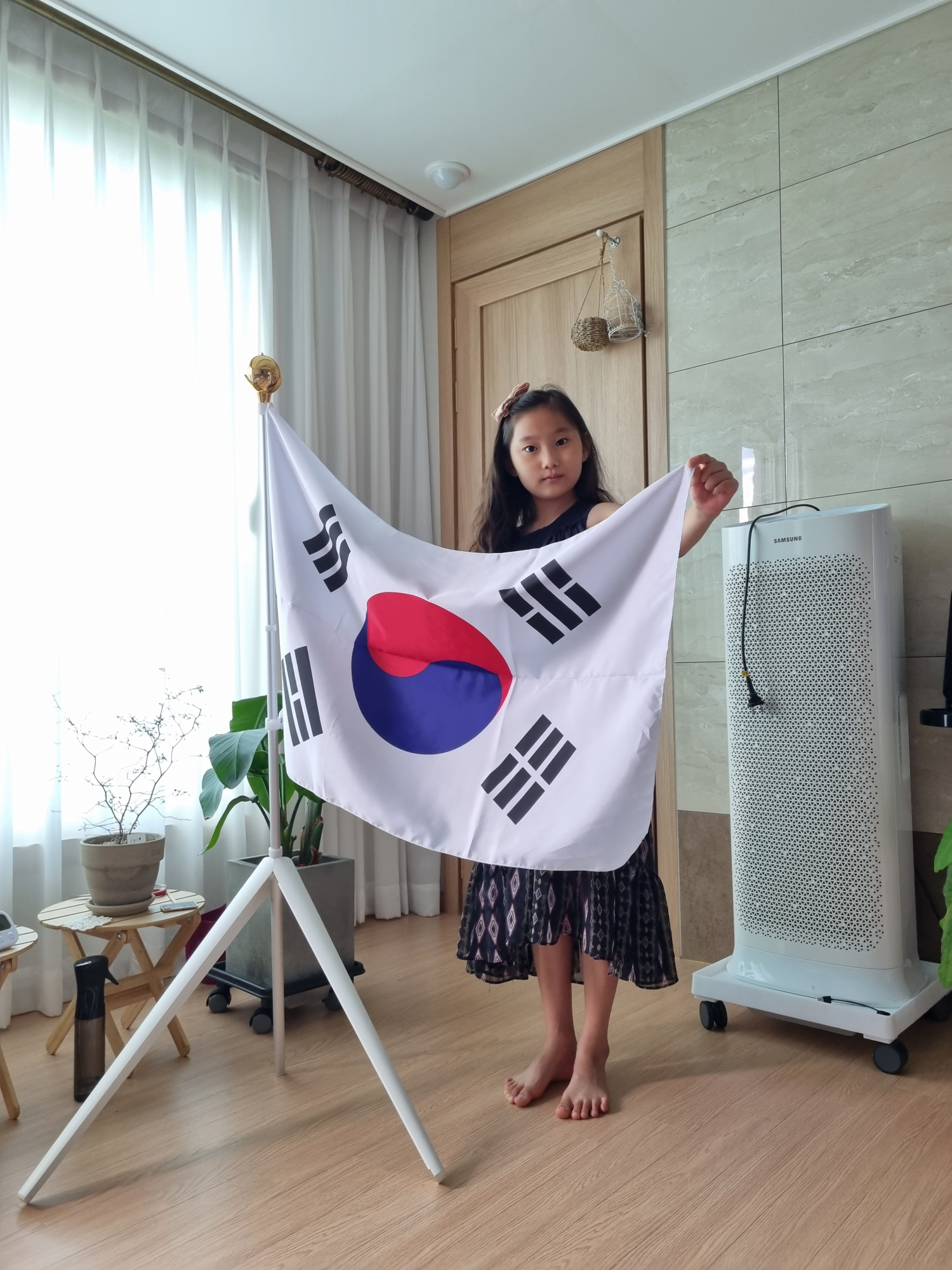 제헌절 태극기 게양 사진